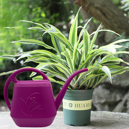 Plant Watering Can - Plastic for Indoor and Outdoor Home Plant - 1/2 Gallon - Rose Red