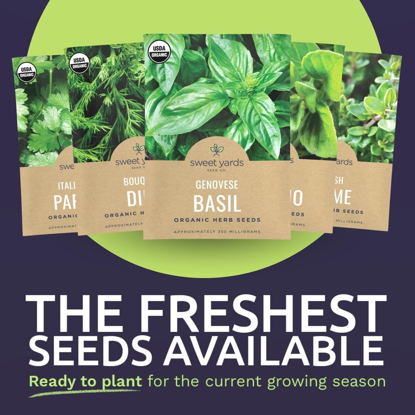 Organic Herb Seeds Variety Pack - 5 Individual Packs - 2025 Season - Basil, Oregano, Dill, Thyme & Parsley. for Indoor & Outdoor Planting (Non-GMO, Certified Organic)