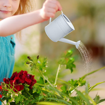Small Metal Watering Can Set, Pink, 1.2L and 0.23L Garden Cans with Long Spout, Indoor Outdoor Plant Care (White)
