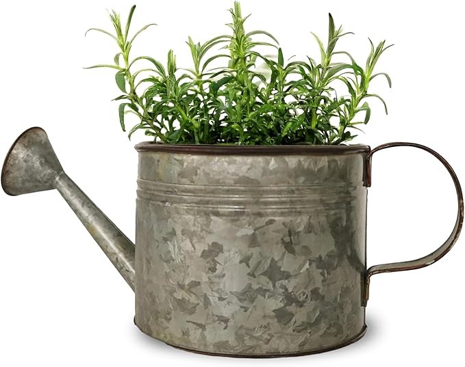 Headwind Countryside Collection - 6 Inch Smoky Grey Galvanized Plant Watering Can for Outdoor & Indoor - Vintage Metal Watering Can Outdoor Planter by Robert Allen