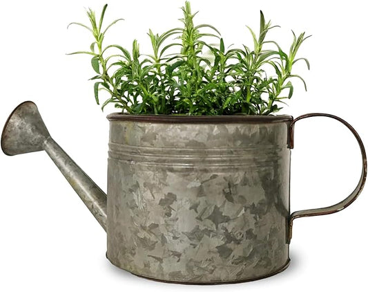 Headwind Countryside Collection - 6 Inch Smoky Grey Galvanized Plant Watering Can for Outdoor & Indoor - Vintage Metal Watering Can Outdoor Planter by Robert Allen