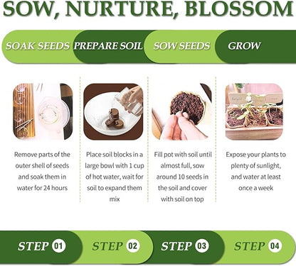 5 DIY Bonsai Tree Kit for Beginners, Complete Indoor Gardening Starter Kit with Seeds, Soils, Pots & Tools, Unique Birthday Gifts Ideas for Women, Men