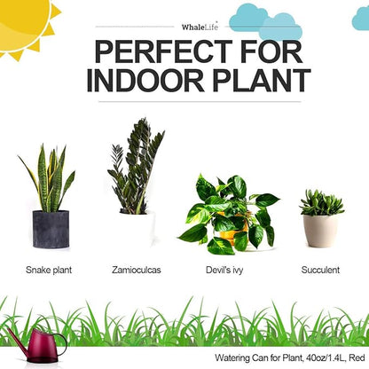 WhaleLife Indoor Watering Can for House Bonsai Plants (1.4L, Red)