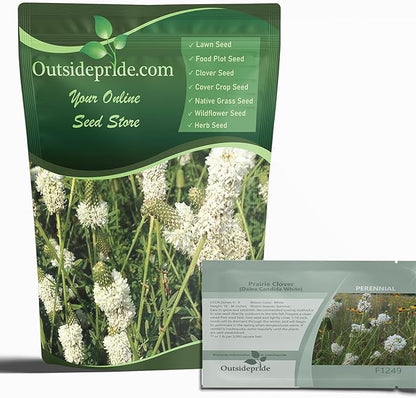 Outsidepride White Prairie Clover Seeds - 1/4 lb. Perennial Seeds for Planting, Easy to Grow, Drought & Heat Tolerant, High Protein Forage for Livestock, Ideal for Meadow Gardens, & Xeriscaping
