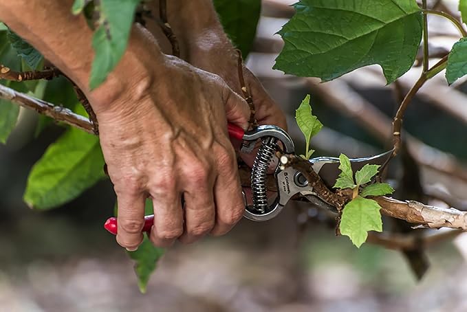 Corona ClassicCUT Forged Bypass Hand Pruner, Red, 3/4"