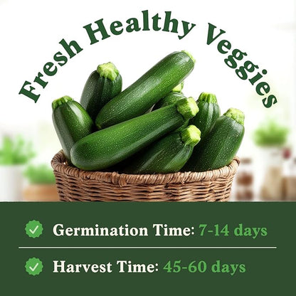 Seedboy Organic Zucchini Seeds for Planting Indoor and Outdoor, Non-GMO and USDA Certified Vegetable Seed Packet for Hydroponic Garden Indoor or Planting Outdoors (Black Beauty Zucchini)
