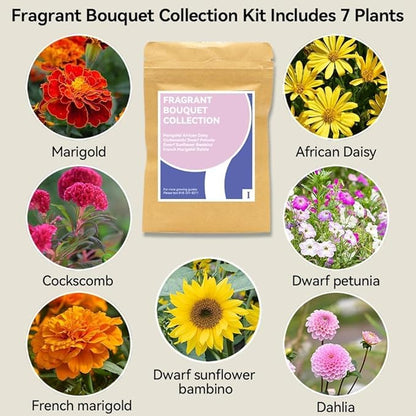 inbloom Fragrant Bouquet Seed Pod Kit for AeroGarden, iDoo, Ahopegarden, GARDENCUBE, 12 Pods (350+ Flower Seeds with Sunflower, Petunia, Mexican Marigold, Cockscomb, French Marigold, Dahlia)