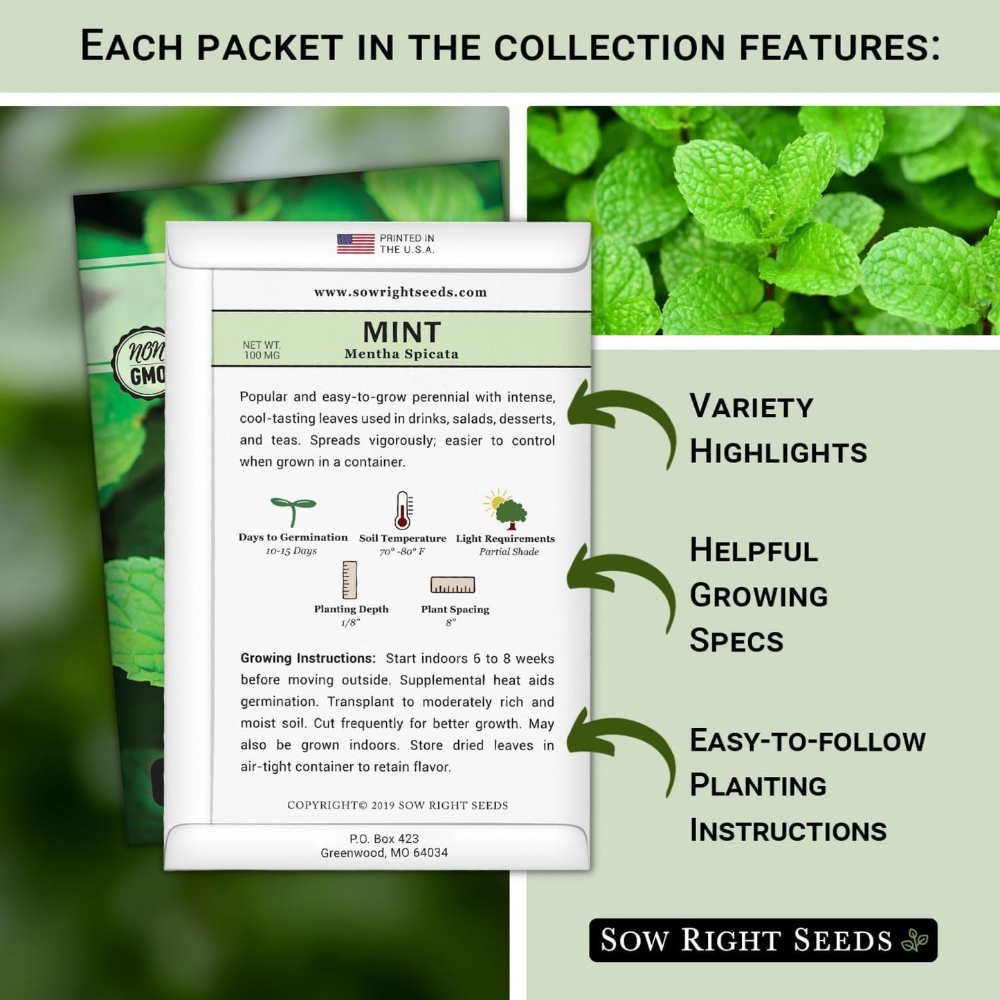 Sow Right Seeds - Herbal Tea Collection - Lemon Balm, Chamomile, Mint, Lavender, Echinacea Herb Seed for Planting; Non-GMO Heirloom Seed, Instructions to Plant Indoor or Outdoor; Gardening Gift