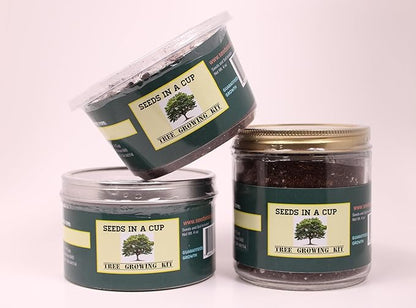 Peach Tree | Seeds In A Cup: Tree Starter Kit | Easy to use | Educational | Memorial Gift | Plant It for The Planet | Grow Your Own Tree |
