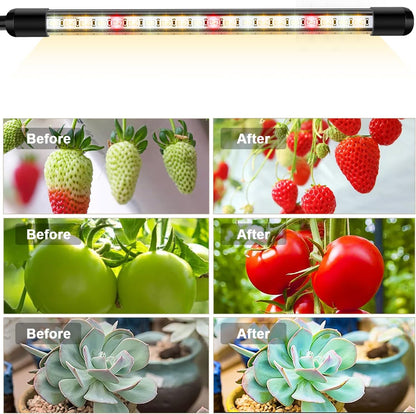 Garpsen Grow Lights for Indoor Plants, 2 Heads Full Spectrum LED Plant Grow Lights, 40 LEDs Clip on Plant Light for Small Plants with Auto on/Off Timer Setting(6/12/16H), 5 Level Dimmable