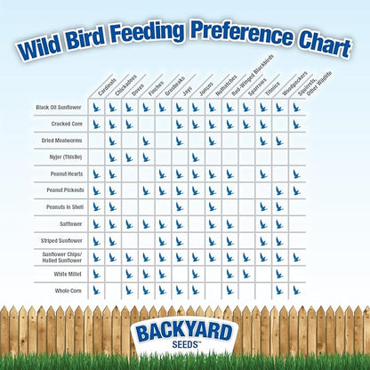 CountryMax Backyard Seeds Black Oil Sunflower (25 Pounds)