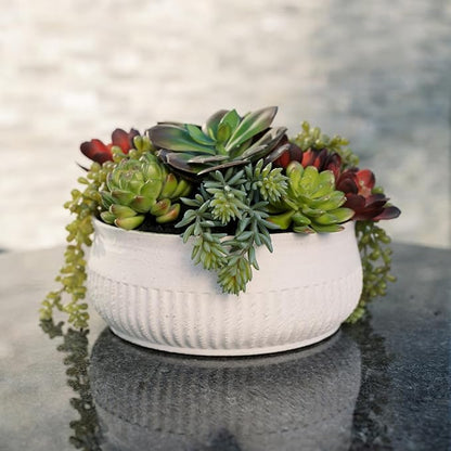 Round Faux Succulent Arrangement, 12" Premium Artificial Indoor Plant Enhances Interior Design, Display on Any Surface in Your Home Adding an Inviting Touch of Nature, White Planter Pot Included