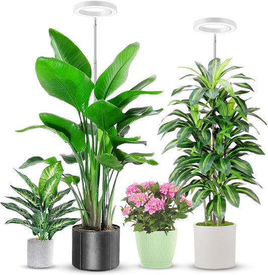 Grow Lights for Indoor Plants, 6000K Full Spectrum Plant Grow Lights, Height Adjustable 10"-65" Growing Lamp, Automatic Timer 6/12/16Hrs, 5-Level Dimmable, Idea for Large Plant, 2 Pack