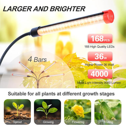 4-Head Table Top Grow Lights for Indoor Plants, Seed Starting, Bonsai with Timer, 36W Power Home Plug, FECiDA 2025 Full Spectrum Plant Growing Lamps, 16"-24" Height Adjustable