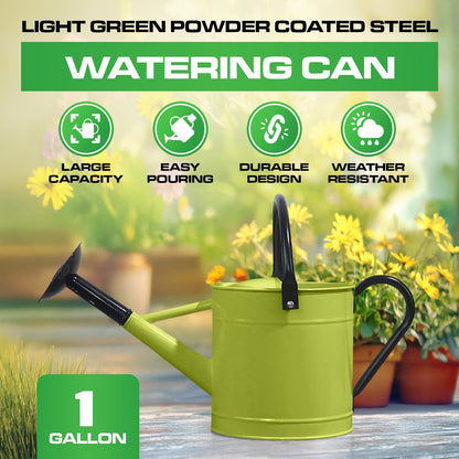 Plexon 1 Gallon Metal Watering Can Outdoor, Flower Plant Gardening Garden Large Watering Can Pot, Black Galvanized Steel Handles and Removable Spray Spout, Green