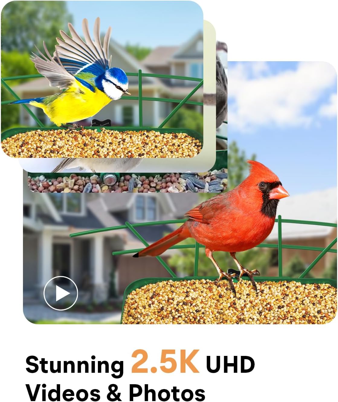 Metal Smart Bird Feeder with Camera – Solar Powered, AI Bird Identification & 2.5K HD Auto Capture Videos, Arrival Notifications, 2.1L Capacity & 100% Durable Design