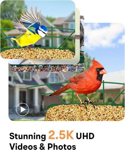 Metal Smart Bird Feeder with Camera – Solar Powered, AI Bird Identification & 2.5K HD Auto Capture Videos, Arrival Notifications, 2.1L Capacity & 100% Durable Design