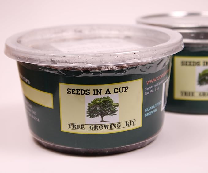 Seeds In A Cup- Tree Growing Kit (Lilac)- Plastic Planter