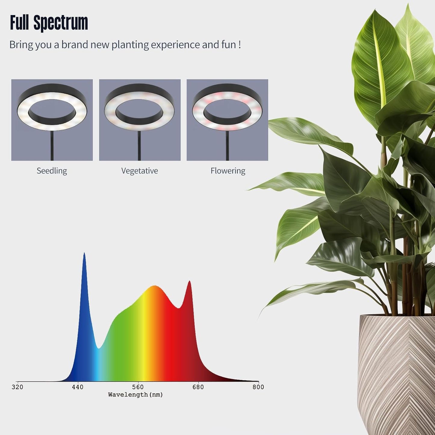GLOWRIUM Grow Lights for Indoor Plants,20W Full Spectrum LED Plant Light with Stand,Adjustable Height,3/9/12H Timer,6 Dimmable Levels & 3 Lighting Modes (Black-Single Head)