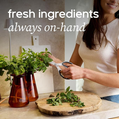 Counterstand Set – Vase Plant for Indoor Edible Garden Kit for Herbs & Lettuce – Small-Space Hydroponic System – Home Decor & Gifting – with Glow Lamp