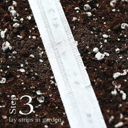 Park Seed Sow Effortless Collection Seed Tape – Rainbow Mix Beet, 15 Feet – Easy Planting, 5 Distinct Gourmet Varieties, Colorful Roots & Greens, Cool-Weather Crop, No Thinning, 50–55 Days to Maturity