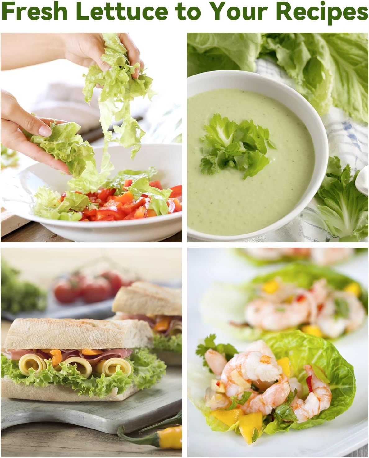 Salad Green Seed Pod Kits for AeroGarden Ahopegarden, iDOO Hydroponics Growing System Indoor Herb Garden, 400+ Seeds, Including American Fast Lettuce, Red Romaine Lettuce(8-Pods)