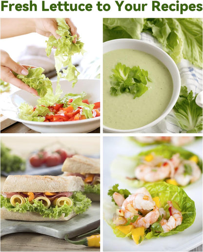 Salad Green Seed Pod Kits for AeroGarden Ahopegarden, iDOO Hydroponics Growing System Indoor Herb Garden, 400+ Seeds, Including American Fast Lettuce, Red Romaine Lettuce(8-Pods)