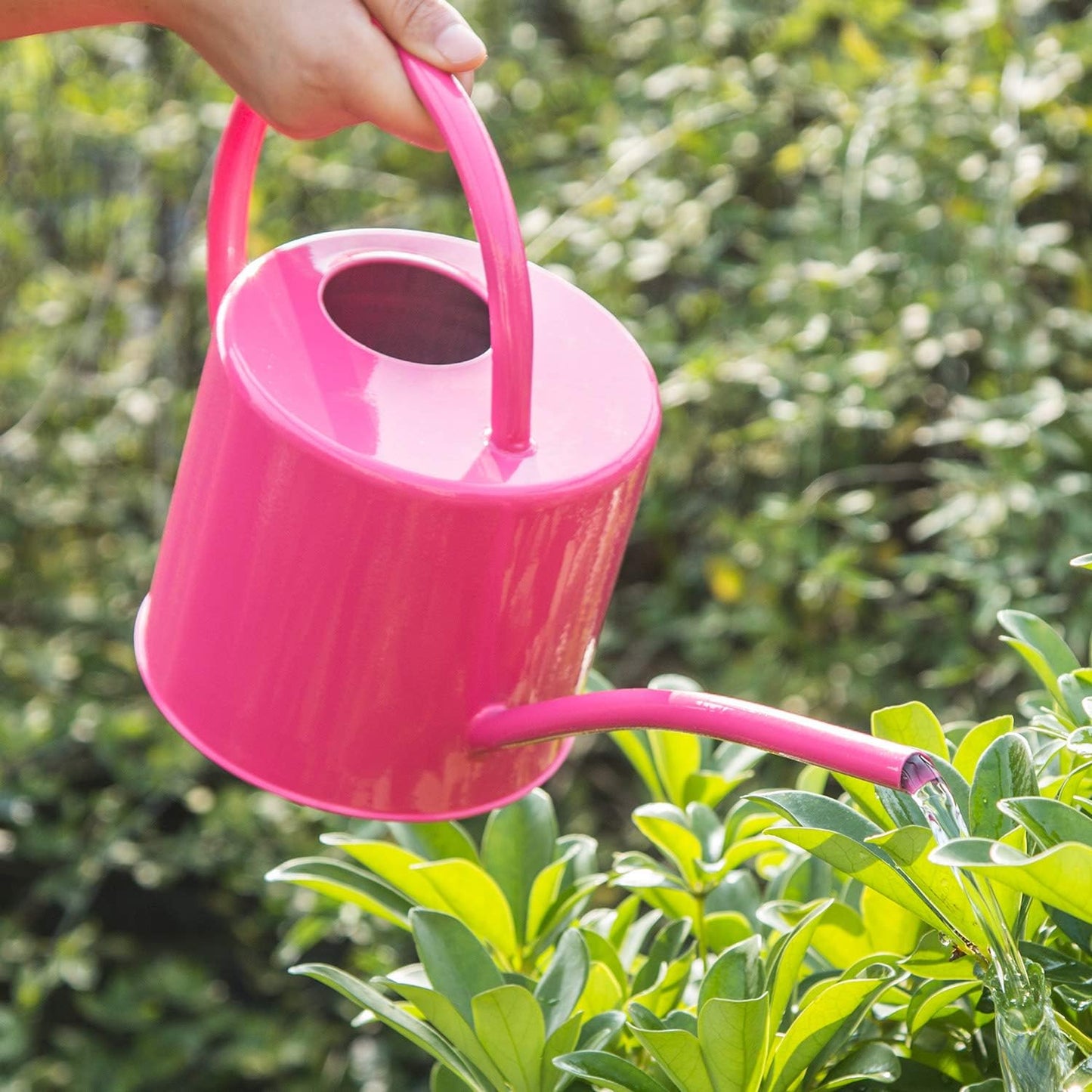 Metal Watering Can 51 Ounce Modern Style Watering Pot with Handle and Long Spout, Rose