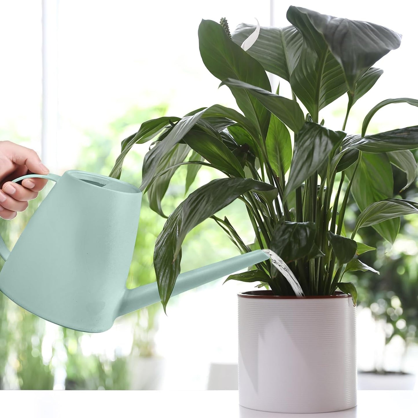 Watering Can - for Indoor and Outdoor House Plant Garden - with Long Spout - 1/2 Gallon - Light Green