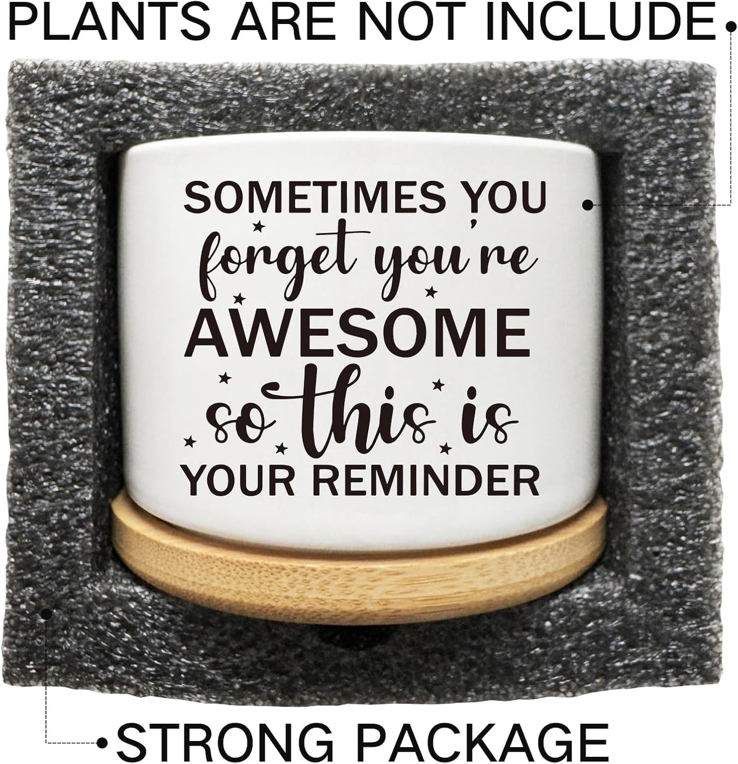 Succulent Cactus Cute Planter Pots with Bamboo Tray, Office Kitchen Home Windowsill Indoor Decor, Gift for Friends Mom Women Coworkers Teachers Plant Lovers