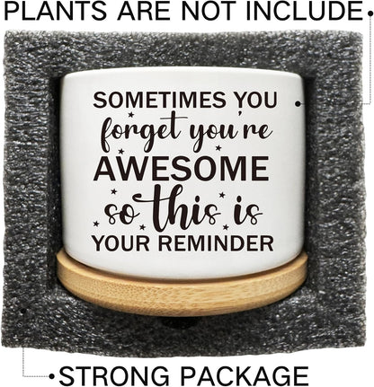 Succulent Cactus Cute Planter Pots with Bamboo Tray, Office Kitchen Home Windowsill Indoor Decor, Gift for Friends Mom Women Coworkers Teachers Plant Lovers