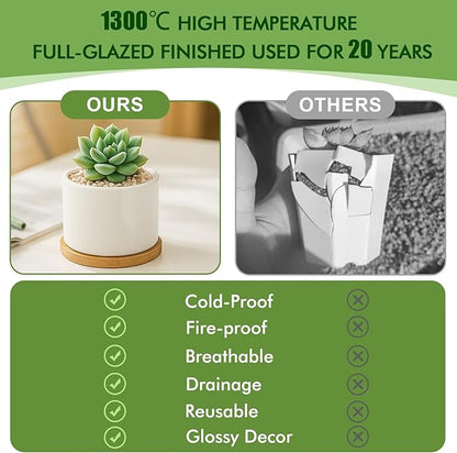ZOUTOG Succulent Pots 3.1 Inch,Succulent Planters 12 Pack,Small Pots for Plants with Drainage and Tray,White Ceramic Flower Planters for Indoor Plants,Home,Office,Desk