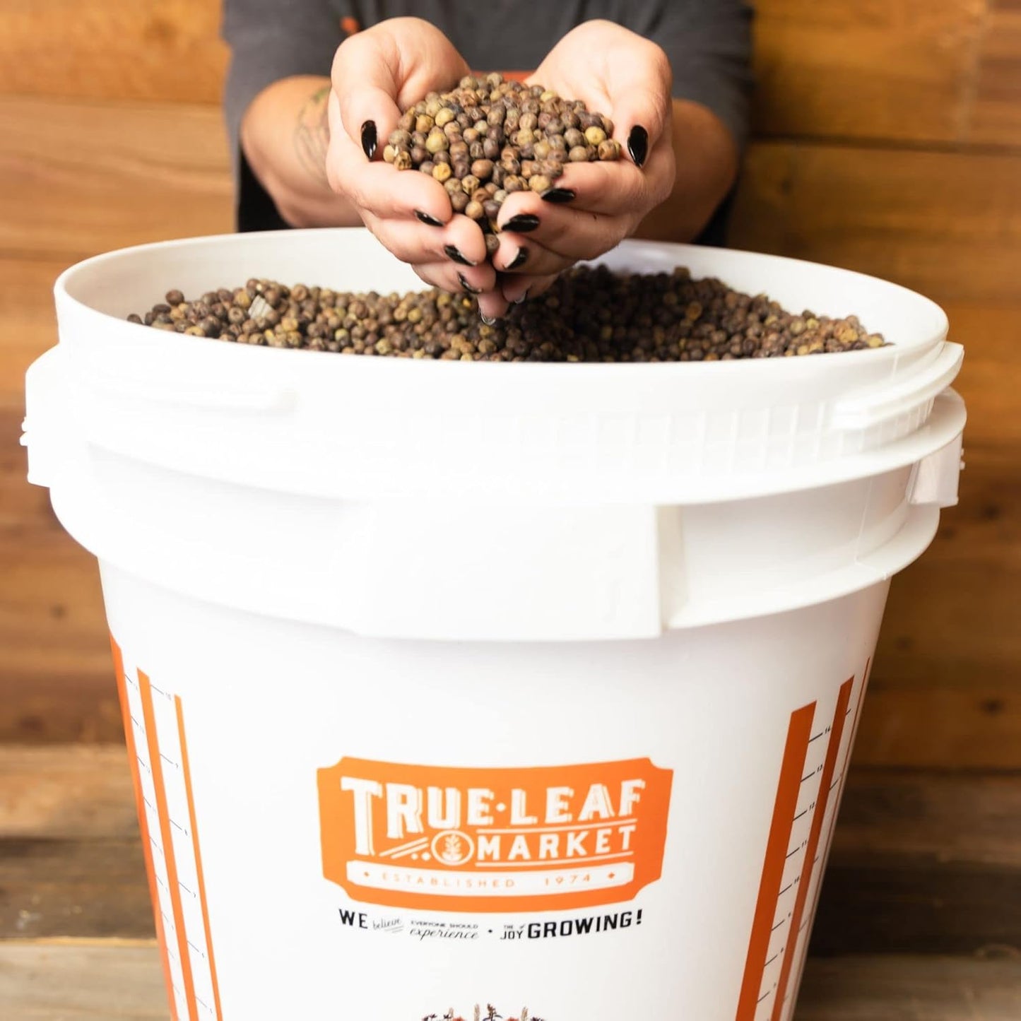 5 Gallon Bucket with Easy On/Off Ratcheting Lid - 6 Buckets - HDPE, Food Grade, BPA Free - Gardening & Composting Info - All Purpose Pail