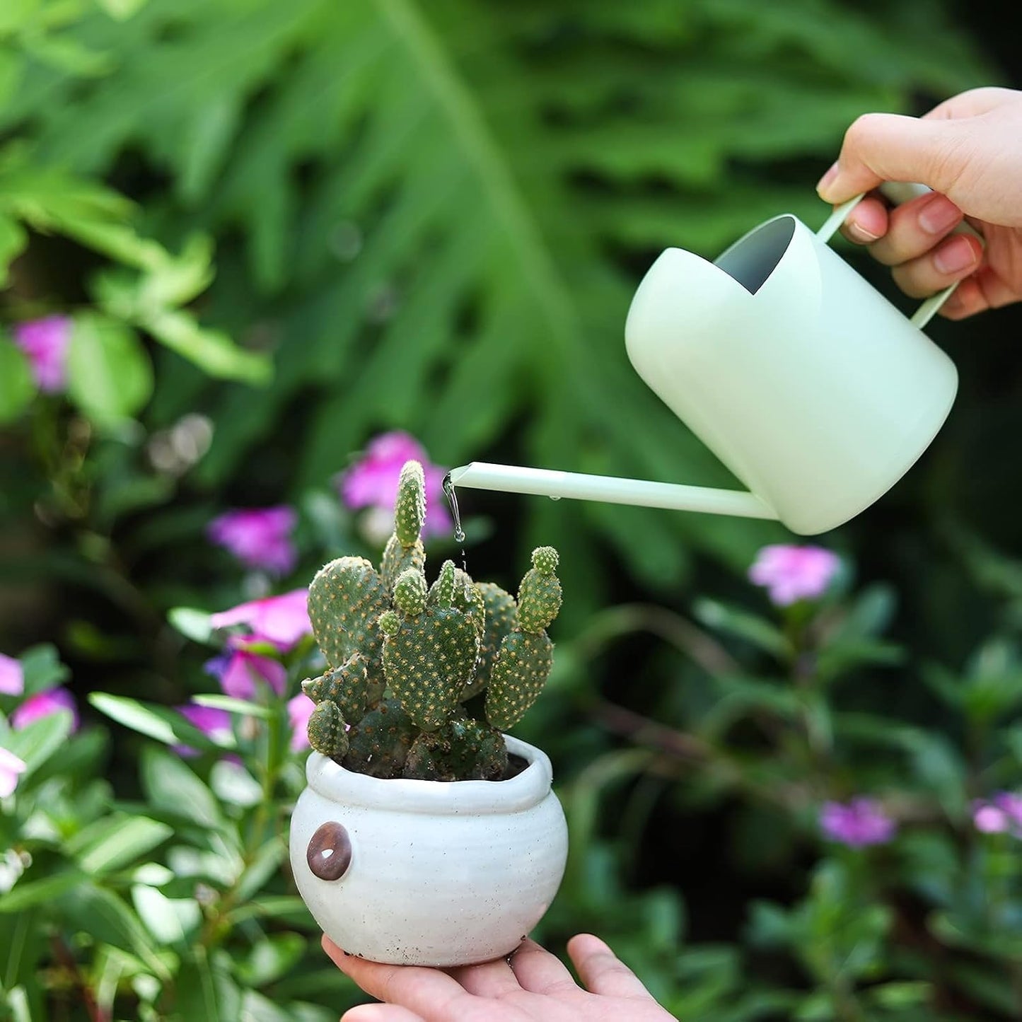 Mini Watering Can, 10oz/300ml Stainless Steel Long Spout Small Watering Can for Indoor Plants Succulents, Herbs (Green)