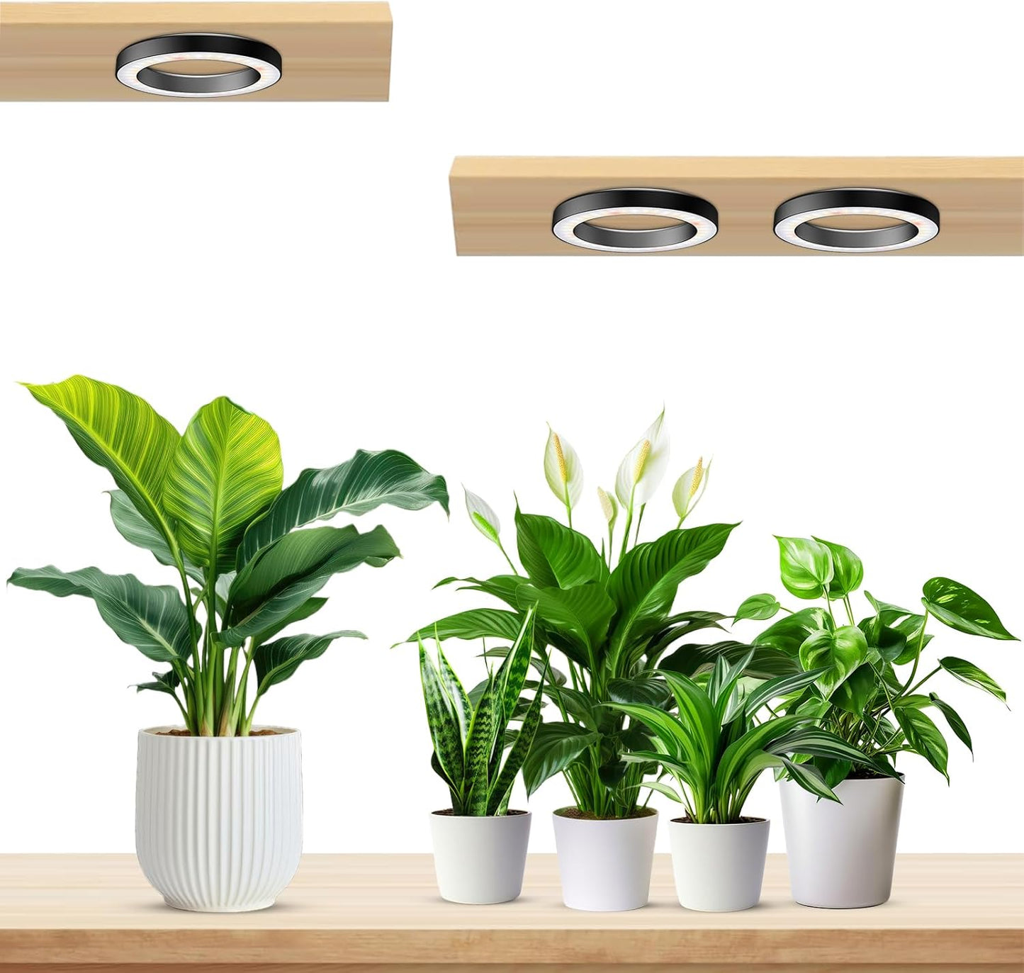 Wiaxulay 6.3” Ceiling Plant Grow Light, 252 LED Full Spectrum Halo Grow Lights for Indoor Plants, 12V/3A Under Cabinet Grow Lamp with 6/12/16 Hrs, 3 Lighting Mode, 5 Dimmable Levels, Tri Head