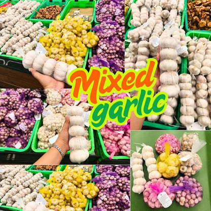 1 Pound Garlic for Planting in Fall Hardneck Softneck, 8-10 Top Size Garlic Bulbs for Planting, Fresh and High Yield Bulb Variety Pack, Hardy and Fast Growing (Random Mix)