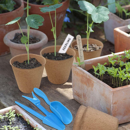 3T GROUP 100 Pack 3.15 Inch Mini Pots for Plants,Small Plant Pots,Biodegradable Compostable Flower Pots,Disposable Seed Seedling Pot Cups for Vegetables,Fruit with 100 Labels,Tool (100pcs)