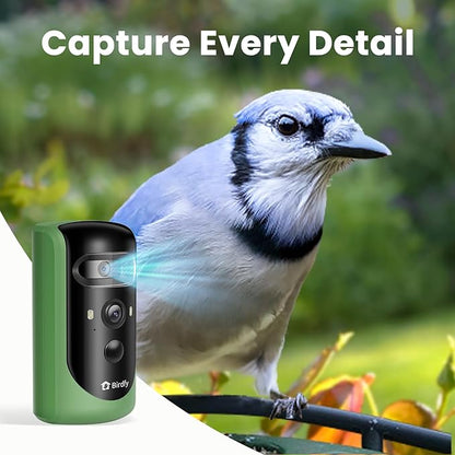 Birdfy 2 Smart Bird Feeder with Camera, AI Identifies Bird Species, 2K Dual-Lens + Side HD Camera for Live Streaming & Feeding View, Solar-Powered Backyard Birdwatching Gift Present
