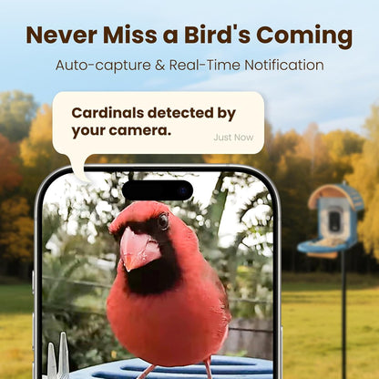 Smart Bird Feeder with Camera, 2.5K UHD Bird Feeder Camera Solar Powerd, Sensitive AI Identification, Instant Alerts Capture Video, IP66 Waterproof for Outdoor, Ideal Gift, Blue