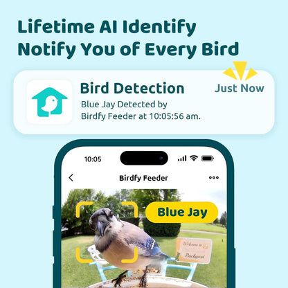 NETVUE by Birdfy AI Smart Bird Feeder with Camera, AI Auto Capture Each Bird Visit & Identify 6000+ Species, Cloud Store & Live Birdwatching, Ideal Gift (Yellow)