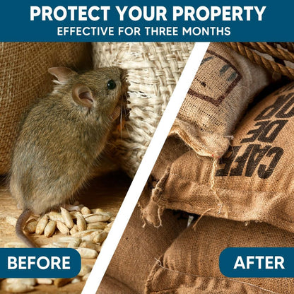 Rodent Repellent, Mice Repellent Indoor, Mouse Repellent Balls for House, Rat Repellent, Peppermint to Repel Mice and Rats, Mouse Deterrent, Mint Mouse Repellent Outdoor, Keep Mouse Away-8Pcs