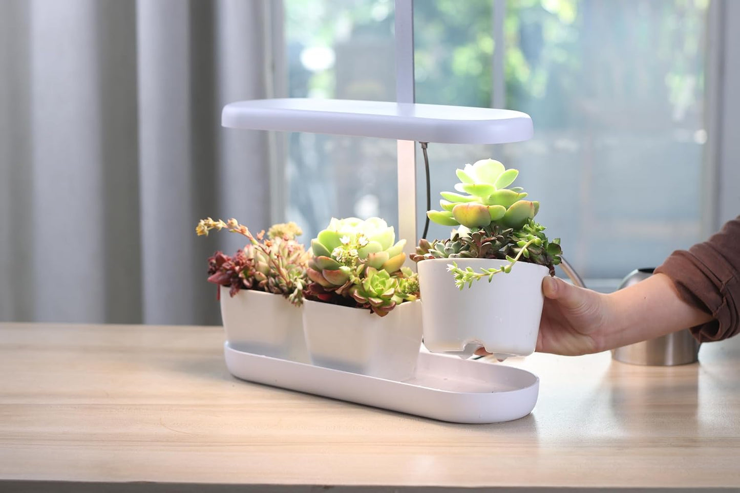 Indoor Garden Led Grow Light, 20W Full Spectrum LED Grow Lamp for Indoor Plants with Intelligent Controller, Height Adjustable, Ideal for Home Desk Plant Lighting (White, ABS Base)