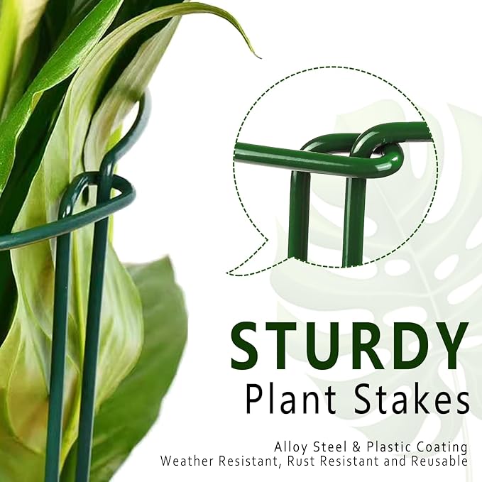 6 Pack Plant Support Stakes, Metal Monstera Plant Support Stakes for Indoor Plants, Large Garden Plant Support Ring, Tomato Cage, Tall Plant Holder Sticks (10" W X 15.8" H)