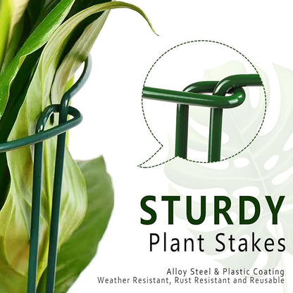 6 Pack Plant Support Stakes, Metal Monstera Plant Support Stakes for Indoor Plants, Large Garden Plant Support Ring, Tomato Cage, Tall Plant Holder Sticks (10" W X 15.8" H)