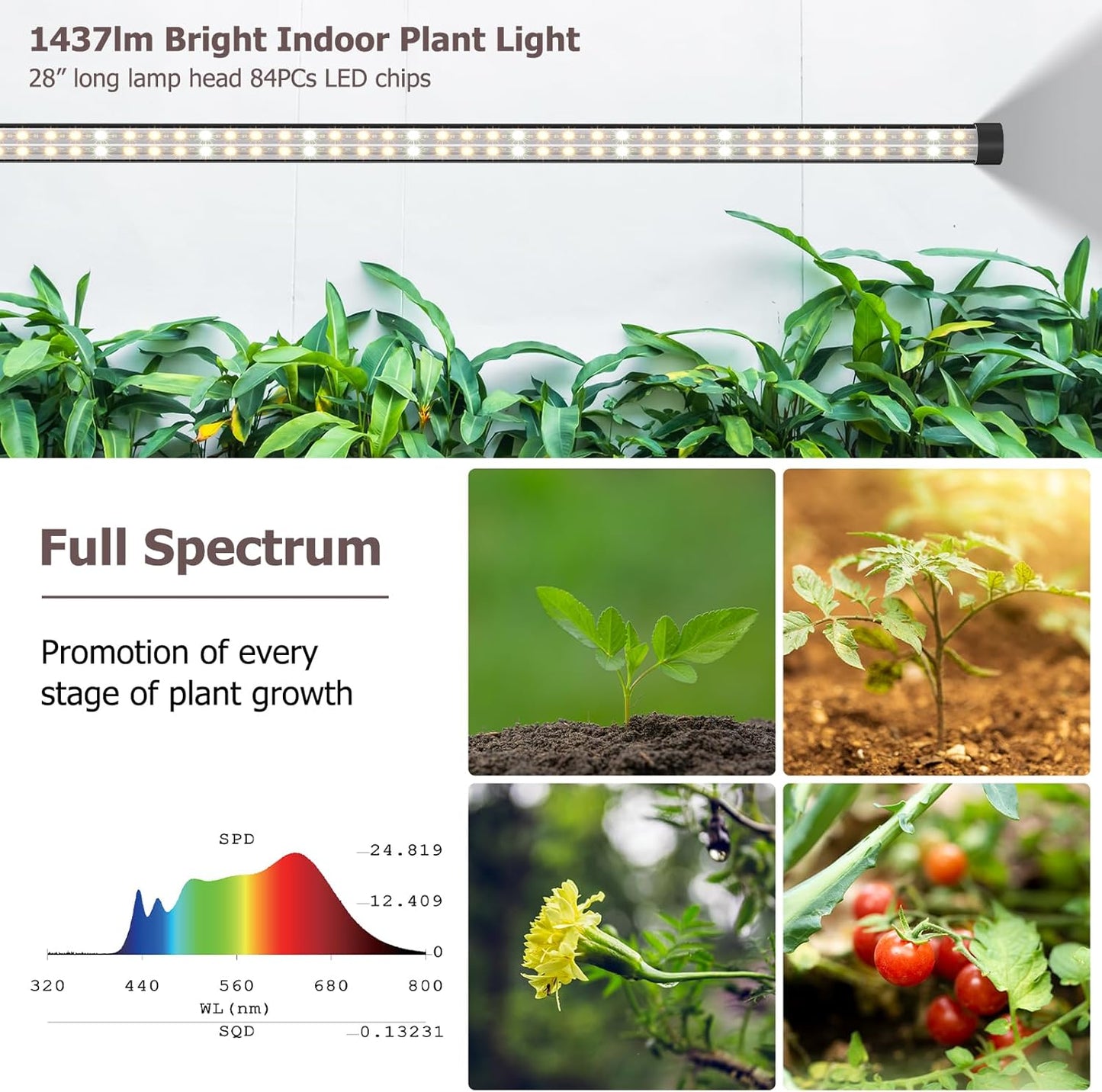 STERREN Plant Floor Lamp for Indoor Plants, Full Spectrum LED Grow Light with 4/8/12H Timer, Dimmable Black Plant Light with Stand, Rotary Tall Grow Lights Head Adjustable, 4000K