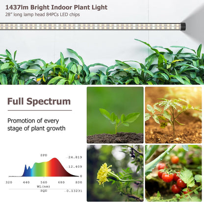 STERREN Plant Floor Lamp for Indoor Plants, Full Spectrum LED Grow Light with 4/8/12H Timer, Dimmable Black Plant Light with Stand, Rotary Tall Grow Lights Head Adjustable, 4000K