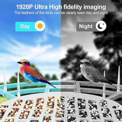 Smart Bird Feeder with Camera Solar Powered - 2K HD Live View, AI Bird Species Identification, Instant Arrival Alerts - IP68 Waterproof Bird House, 2.4GHz WiFi, Best Gift for BirdLovers