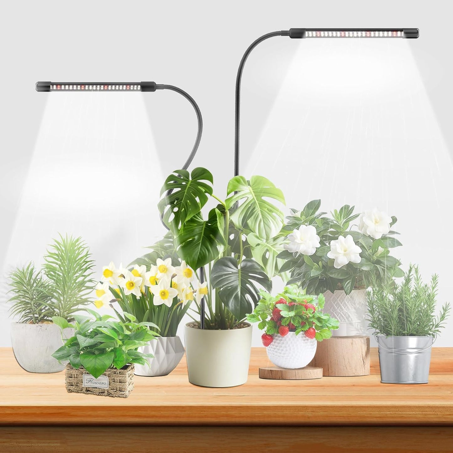 Grow Lights for Indoor Plants, 6000K Full Spectrum Plant Growth Light, Plant Lights for Indoor Growing 5 Level Dimmable & Auto Timer, Adjustable Gooseneck Grow Lamp 2 Pack