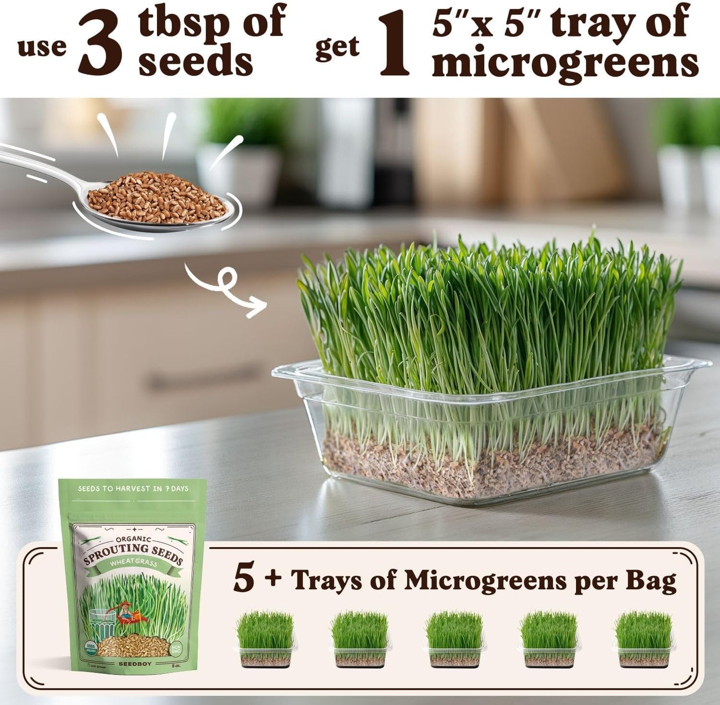 Seedboy Organic Wheatgrass Seeds for Microgreens - Non-GMO, USA Grown Microgreens Sprouting Seeds Mix (8 oz) (Hard Red Spring Wheatgrass)