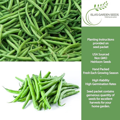 Burpee Stringless Green Bean Seeds (Phaseolus vulgaris) – 50+ Non-GMO Heirloom Seeds by Isla’s Garden Seeds, Crisp Tender Pods with No Strings, Easy to Grow for Raised Beds & Summer Harvests